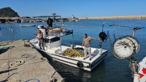 haber-gorseli-1788299377319